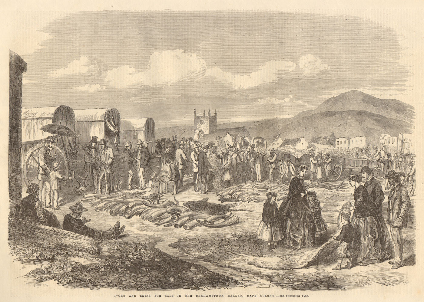 Elephant parts & skins in the Grahamstown market, Cape Colony. South Africa 1866